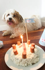 Hollys erster Hunde-Geburtstag