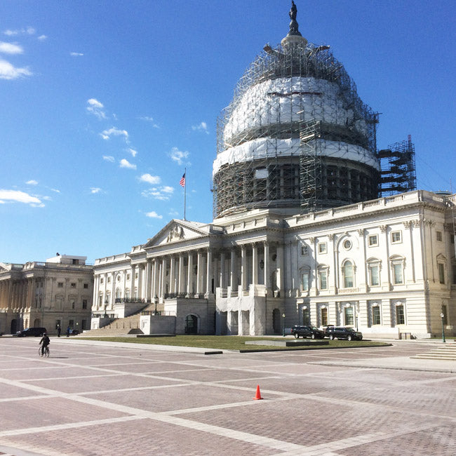Washington mit Kindern (oder: Bye-bye Mr. President...)