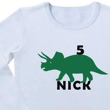 geburtstagsshirt-dinosaurier