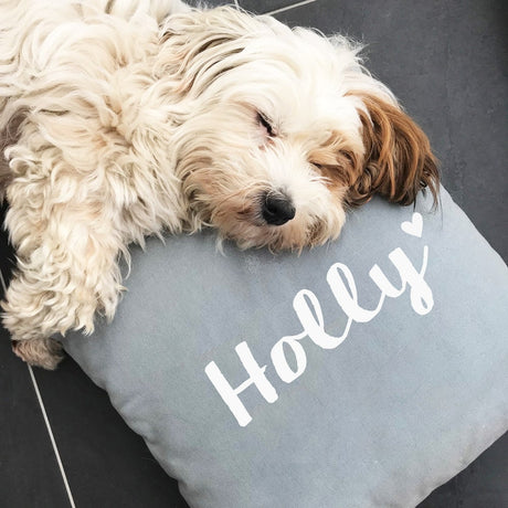 hunde-kissen mit namen